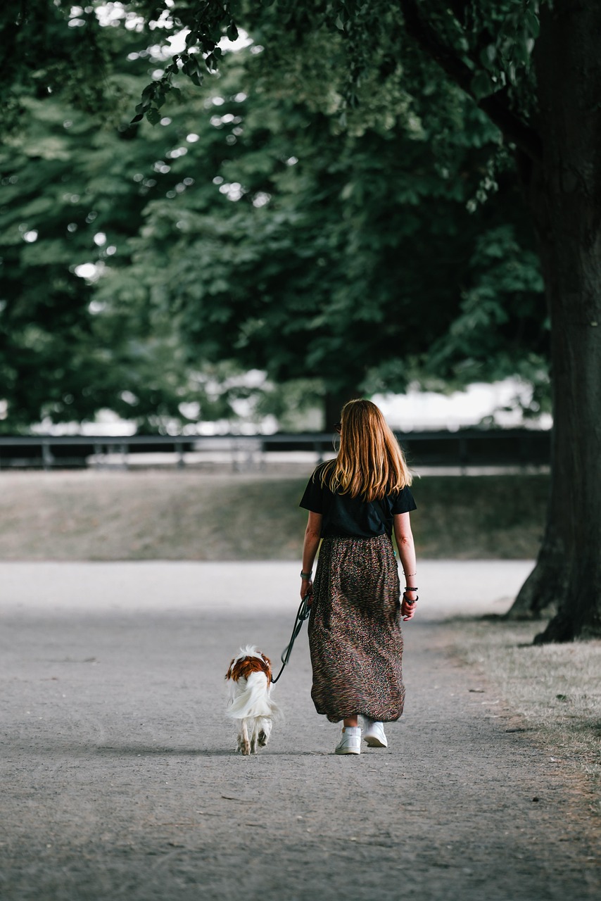 woman, dog, walk, pet, animal, pooch, dog leash, domestic animal